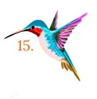 June's Hummingbird Flash #15