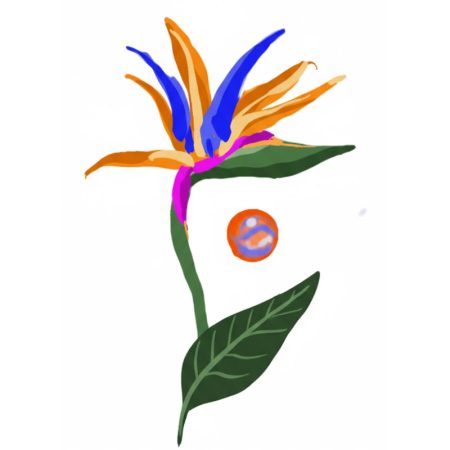 Bird of Paradise with Pearl